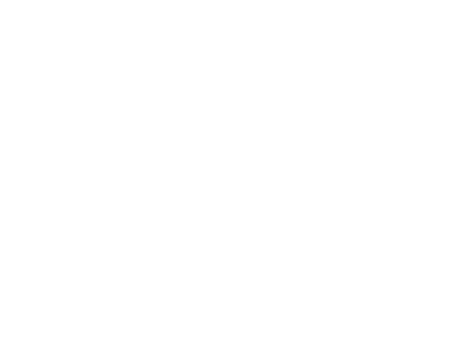 Customs Services serv hover